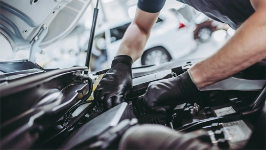 VW Servis Cena